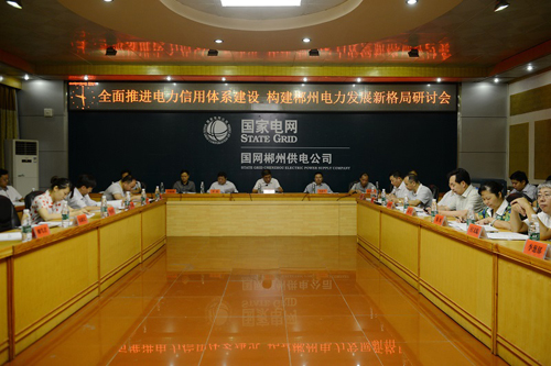 “全面推進電力信用體系建設(shè)構(gòu)，建郴州電力發(fā)展