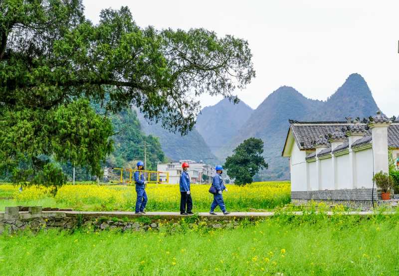平塘供電局：“網(wǎng)格化”服務(wù)，護(hù)航“菜籃子”