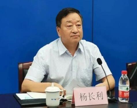 任職總經(jīng)理半年后，楊長利任中廣核董事長