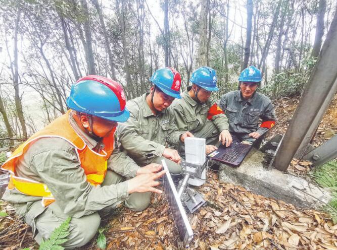 湖北咸寧供電公司：扎根運檢一線 守護(hù)線路安全