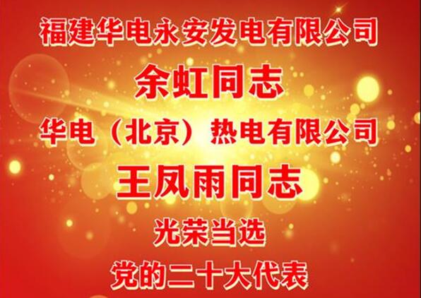 中國華電余虹、王鳳雨同志當選黨的二十大代表