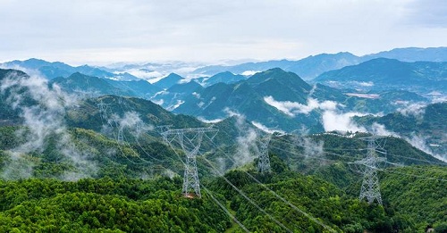 【非凡十年】國(guó)網(wǎng)浙江電力公司：不負(fù)綠水青山 之江勇立潮頭