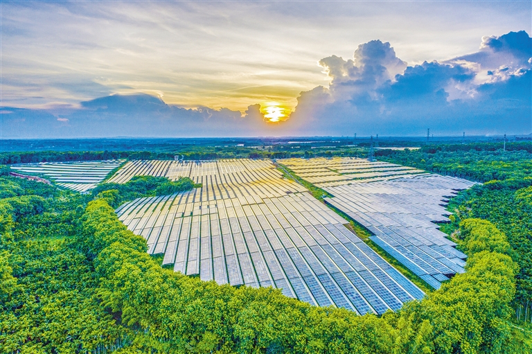 海南電網(wǎng)公司加快構(gòu)建現(xiàn)代供電服務(wù)體系，驅(qū)動(dòng)鄉(xiāng)村振興電力引擎
