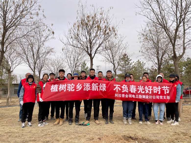 阿拉善金圳電力設(shè)計公司：植樹駝鄉(xiāng)添新綠 不負(fù)春光好時節(jié)
