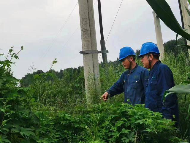 國網(wǎng)長春供電公司積極應(yīng)對極端天氣，確保線路設(shè)備穩(wěn)定運(yùn)行