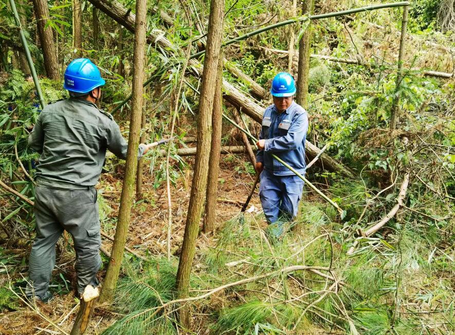 南方電網(wǎng)荔波供電局線路憂患如“猛獸”，通道清通要爭先
