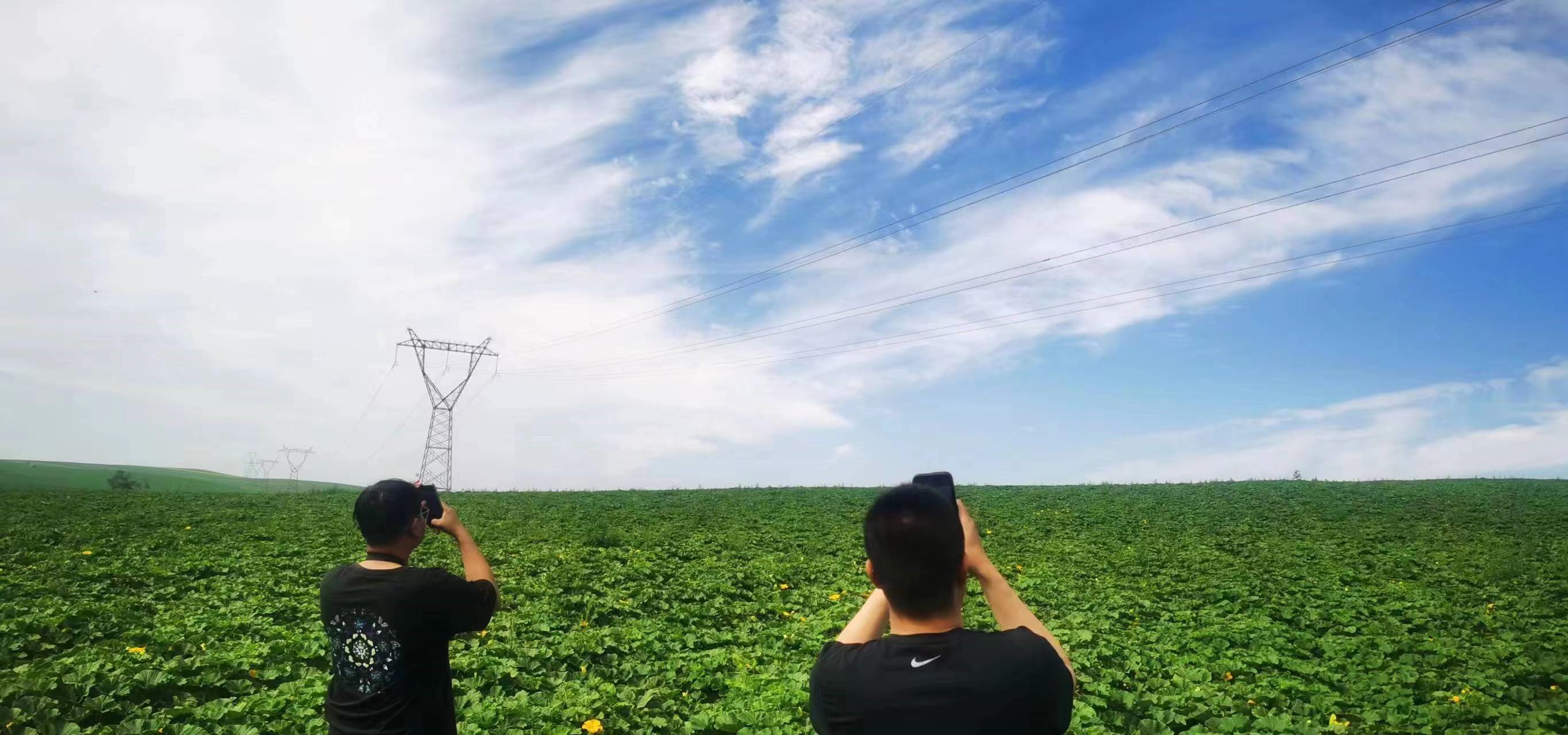 四子王輸變電管理處：防外力破壞，助安全運行