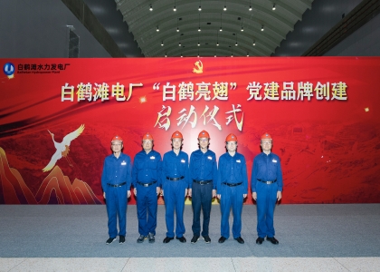 三峽集團一個集體、三名個人榮獲中央企業(yè)“兩優(yōu)一先”表彰