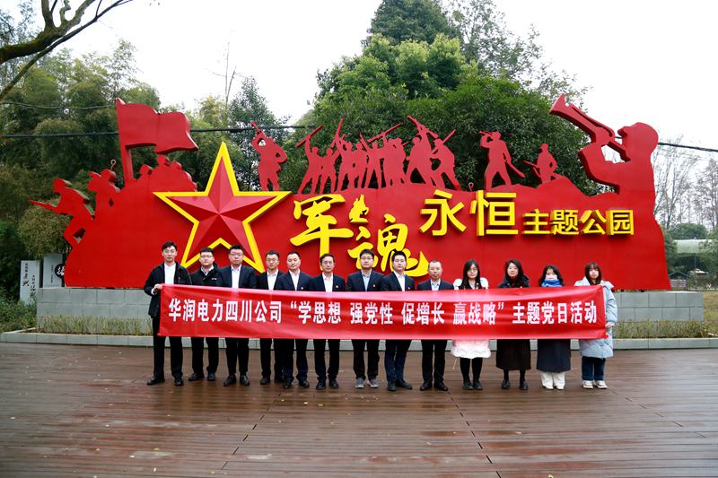 華潤電力四川公司聯合華潤集團在川企業(yè)開展“學思想、強黨性、促增長、贏戰(zhàn)略”主題黨
